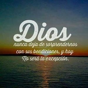 Meet your Posher, Benny